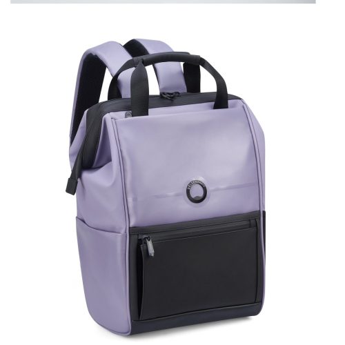 Delsey Turenne Backpack